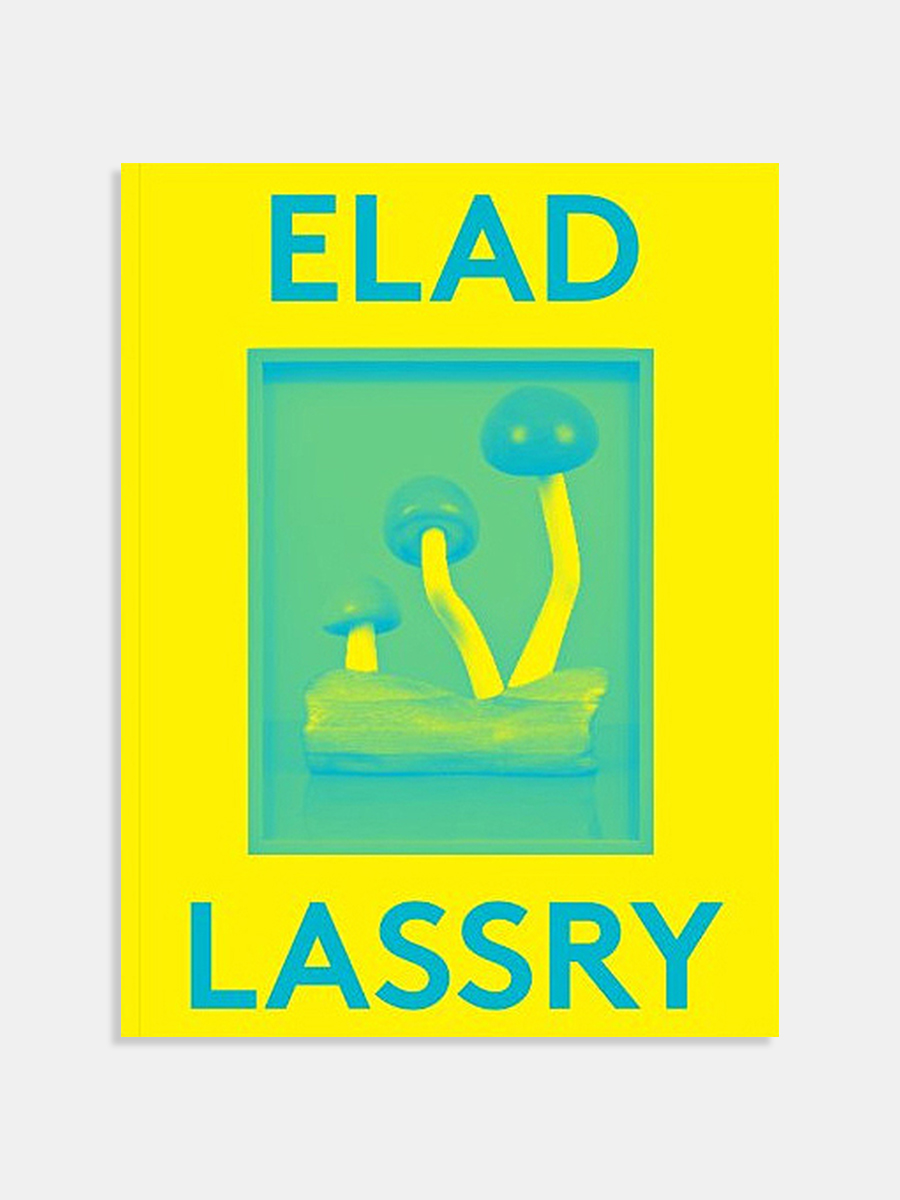 2000 Words: Elad Lassry 